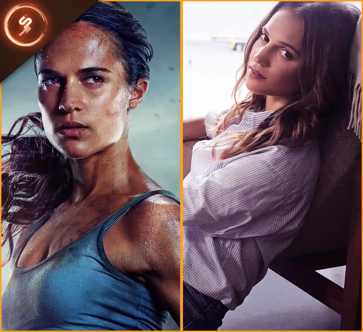 بیوگرافی آلیسیا ویکاندر