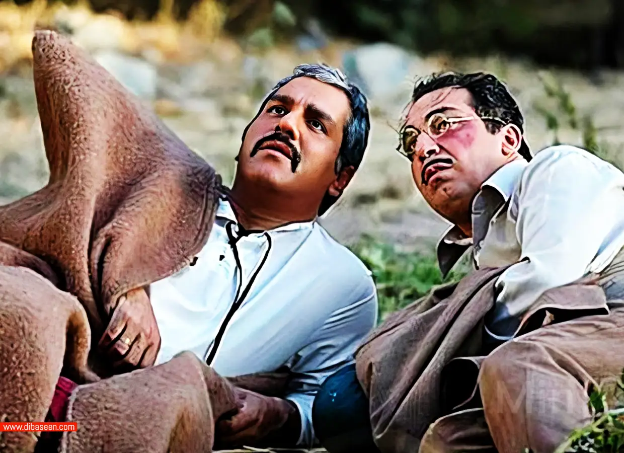 شب‌های برره